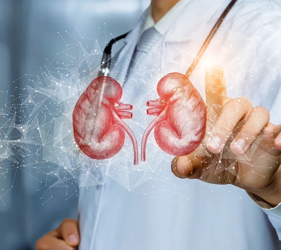 Mizan Multispeciality Hospital